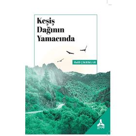 Keşiş Dağının Yamacında - Halil Çıkrıklar