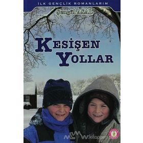 Kesişen Yollar - Özlem Tüm