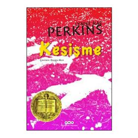 Kesişme - Lynne Rae Perkins