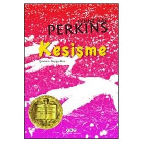 Kesişme - Lynne Rae Perkins