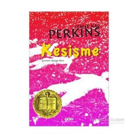 Kesişme - Lynne Rae Perkins