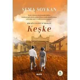 Keşke Bir Köy Enstitüsü Romanı