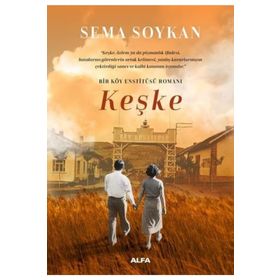 Keşke Bir Köy Enstitüsü Romanı