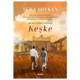 Keşke Bir Köy Enstitüsü Romanı