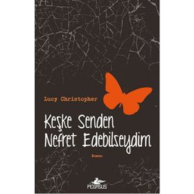 Keşke Senden Nefret Edebilseydim - Lucy Christopher
