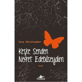 Keşke Senden Nefret Edebilseydim - Lucy Christopher