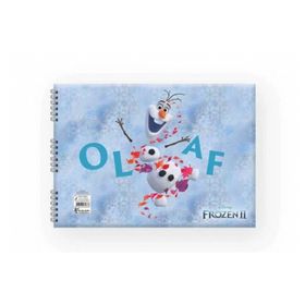 Keskin 300115-92 Frozen 17x25 15 Yaprak Resim Defteri