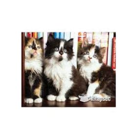 Keskin Color 1000 Parça Kütüphanedeki Kediler Puzzle