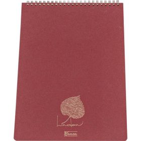 Keskin Color 146431-99 Spiralli Linden Ofis A4 80 Yaprak Çizgili 6'lı Not Defteri