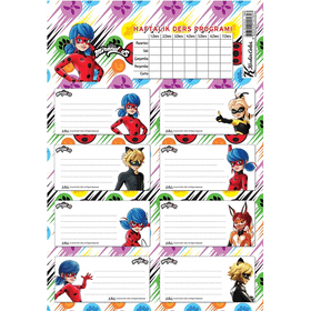Keskin Color 220130-84 Lady Bug Ders Programlı 3'lü Okul Etiketi