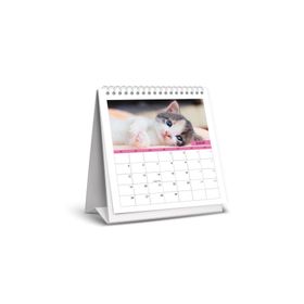 Keskin Color 820802-99 2024 Kediler Kare Masa Takvimi