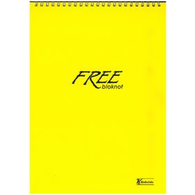 Keskin Color Free A4 Spiralli PP Kapak Kareli 100 Yaprak Defter