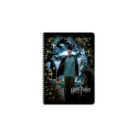 Keskin Color Harry Potter A5 60 Yapraklı Kareli Spiralli Karton Kapak Defter