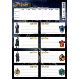Keskin Color Harry Potter Ders Programlı 3'lü Okul Etiketi