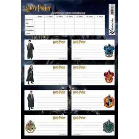 Keskin Color Harry Potter Ders Programlı 3'lü Okul Etiketi