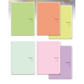 Keskin Color Pastel Note Spiralli Pembe Plastik Kapak 80 Yaprak 16,5x22,5 Çizgili Defter