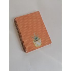 Keskin Color Saguaro 100 Yaprak Çizgili Spiralli Sert Kapak 20 x 28 cm Defter