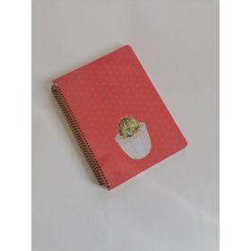 Keskin Color Saguaro 100 Yaprak Çizgili Spiralli Sert Kapak 20 x 28 cm Defter