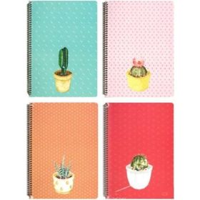 Keskin Color Saguaro 20X28 100 Yaprak Çizgili Sert Kapak Spiralli Defter