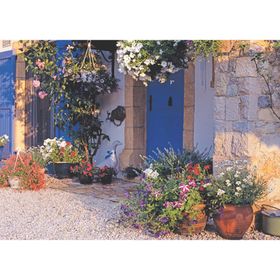 Keskin Color Willy'nin Evi 500 Parça Puzzle