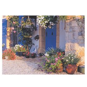 Keskin Color Willy'nin Evi 500 Parça Puzzle