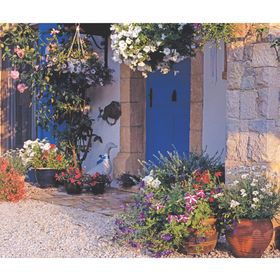 Keskin Color Willy'nin Evi 500 Parça Puzzle