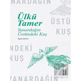 Ketebe Yayınları Yanardağın Üstündeki Kuş