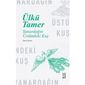 Ketebe Yayınları Yanardağın Üstündeki Kuş