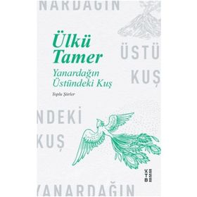 Ketebe Yayınları Yanardağın Üstündeki Kuş