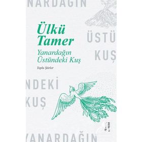 Ketebe Yayınları Yanardağın Üstündeki Kuş