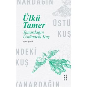 Ketebe Yayınları Yanardağın Üstündeki Kuş