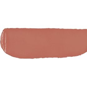 Kiko 341 Velvet Passion Matte Lipstick