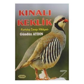 Kınalı Keklik - Gündüz Aydın