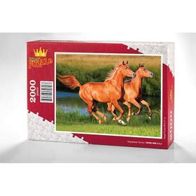 King Of Puzzle Atlar 2000 Parça Puzzle