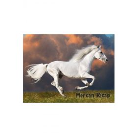 King Of Puzzle Kırat 3000 Parça Puzzle