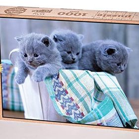 King Of Puzzle Minik Kediler 1000 Parça Puzzle
