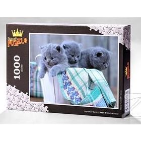 King Of Puzzle Minik Kediler 1000 Parça Puzzle