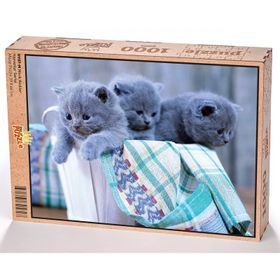 King Of Puzzle Minik Kediler 1000 Parça Puzzle