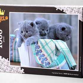 King Of Puzzle Minik Kediler 1000 Parça Puzzle