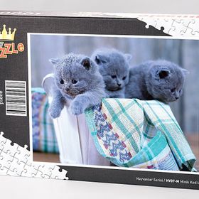 King Of Puzzle Minik Kediler 1000 Parça Puzzle