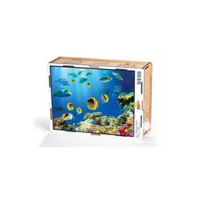 King Of Puzzle Tropikal Balıklar 2000 Parça Puzzle