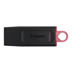 Kingston 256 GB Datatraveler Exodia Dtx256gb Usb 3.2 Bellek