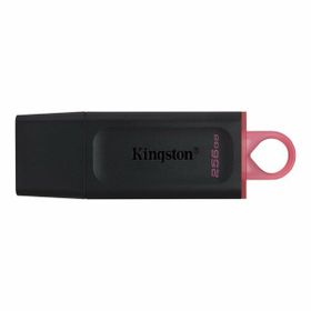 Kingston 256 gb USB 3.2 Datatrvex Dtx 256 gb Usb Bellek