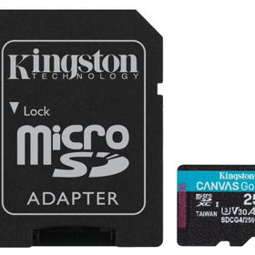 Kingston Canvas Go Plus SDCG4/256G Class 10 UHS-I U3 A2 V30 256 GB Micro SD Kart