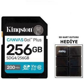 Kingston Canvas Go! Plus SDG4/256GB Class 10 UHS-I U3 V30 256 GB Hafıza Kartı