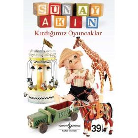 KIRDIĞIMIZ OYUNCAKLAR - SUNAY AKIN