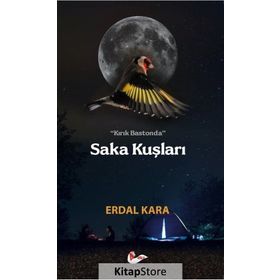 Kırık Bastonda Saka Kuşları - Erdal Kara