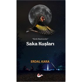 Kırık Bastonda Saka Kuşları - Erdal Kara