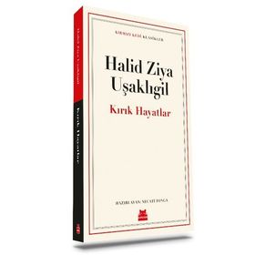 Kırık Hayatlar Kırmızı Kedi Yayınevi