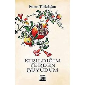 Kırıldığım Yerden Büyüdüm - Fatma Türkdoğan